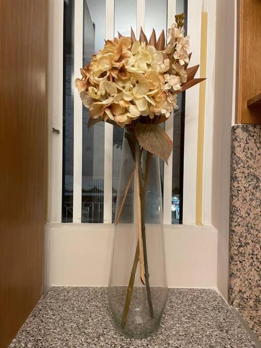 Dm Apartment 1 Αθήνα Εξωτερικό φωτογραφία
